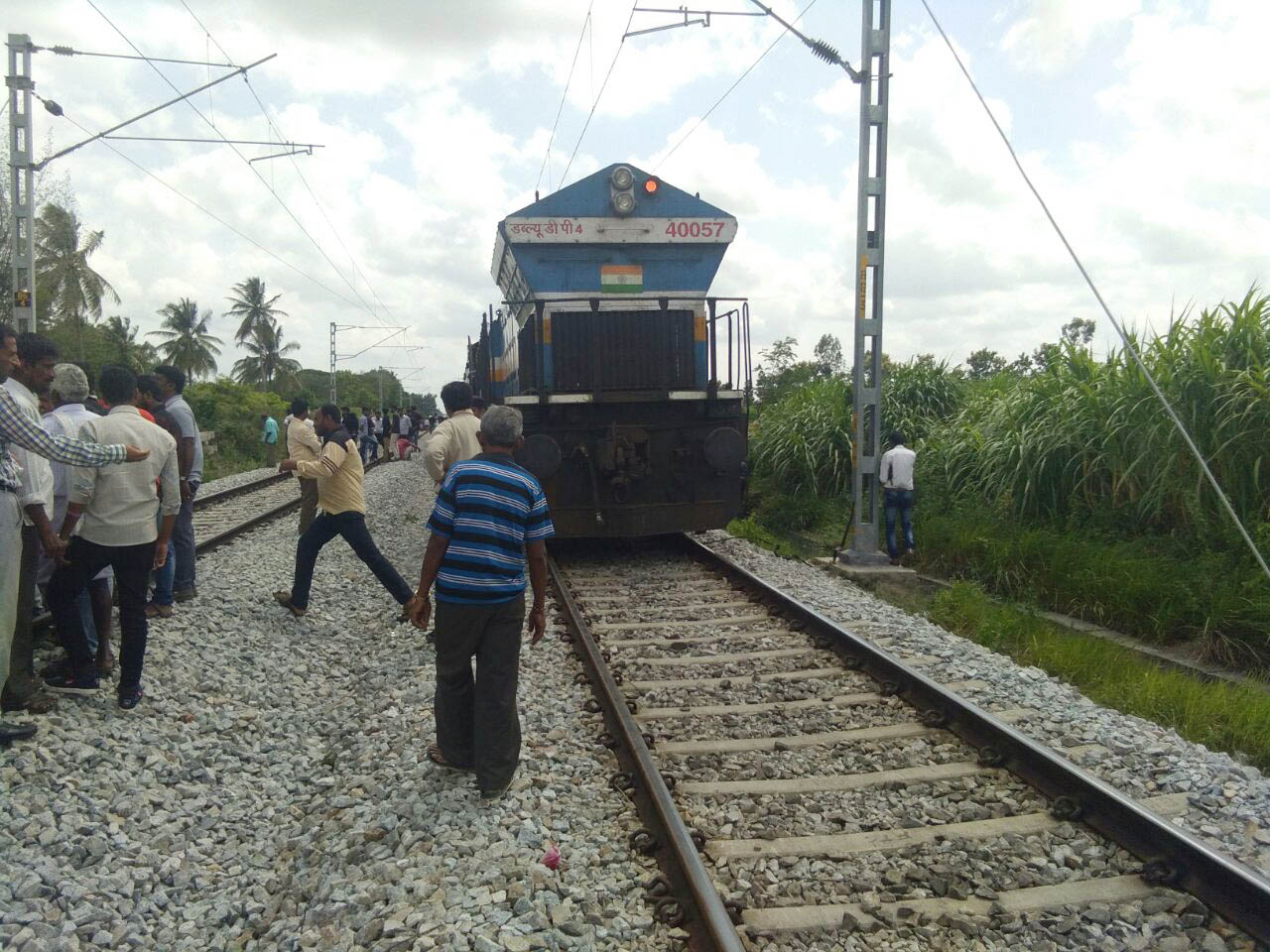 ಟಿಪ್ಪು ಎಕ್ಸ್‌ಪ್ರೆಸ್‌ಗೆ ಸಿಲುಕಿಕೊಂಡ ಎಮ್ಮೆ